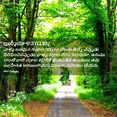 Picture 02 - యిర్మీయా 47:3 TELIRV - వాళ్ళ బలమైన - Bible Verse Picture