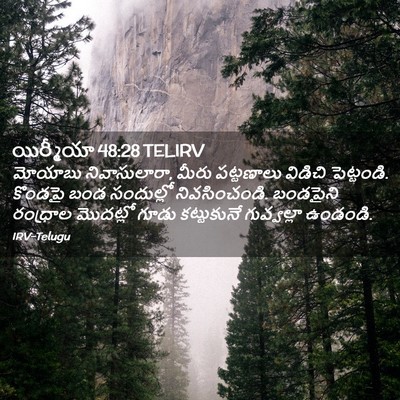 Picture 02 - యిర్మీయా 48:28 TELIRV - మోయాబు - Bible Verse Picture