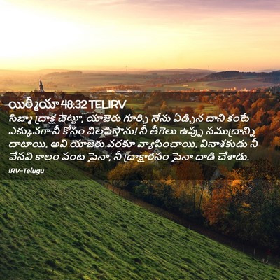 Picture 02 - యిర్మీయా 48:32 TELIRV - సిబ్మా ద్రాక్ష - Bible Verse Picture