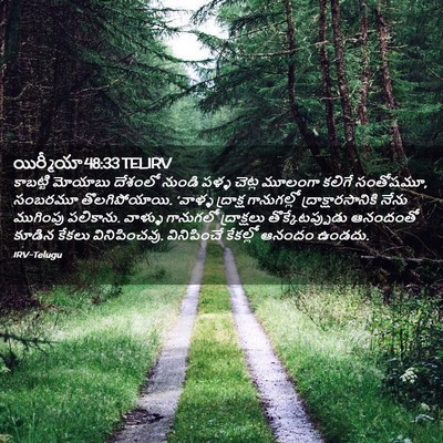 Picture 02 - యిర్మీయా 48:33 TELIRV - కాబట్టి మోయాబు - Bible Verse Picture