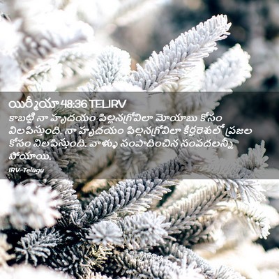Picture 02 - యిర్మీయా 48:36 TELIRV - కాబట్టి నా హృదయం - Bible Verse Picture