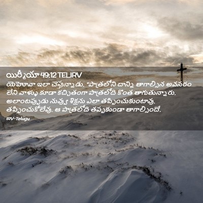 Picture 02 - యిర్మీయా 49:12 TELIRV - యెహోవా ఇలా - Bible Verse Picture
