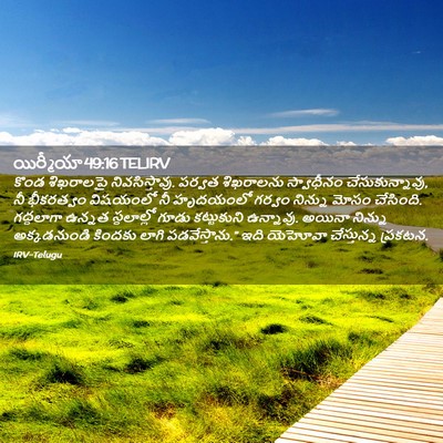 Picture 02 - యిర్మీయా 49:16 TELIRV - కొండ శిఖరాలపై - Bible Verse Picture