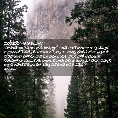 Picture 02 - యిర్మీయా 49:19 TELIRV - చూడండి, అతడు - Bible Verse Picture