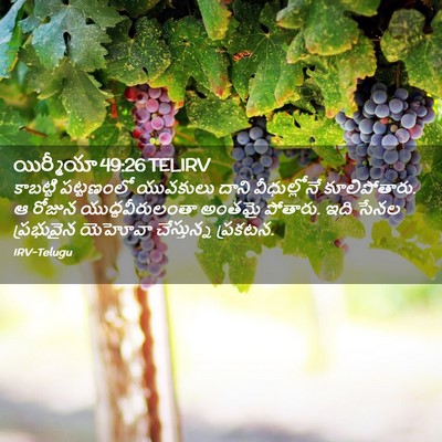 Picture 02 - యిర్మీయా 49:26 TELIRV - కాబట్టి పట్టణంలో - Bible Verse Picture