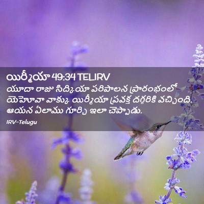 Picture 02 - యిర్మీయా 49:34 TELIRV - యూదా రాజు - Bible Verse Picture