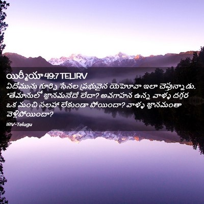 Picture 02 - యిర్మీయా 49:7 TELIRV - ఏదోమును గూర్చి - Bible Verse Picture