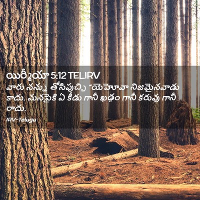 Picture 02 - యిర్మీయా 5:12 TELIRV - వారు నన్ను - Bible Verse Picture