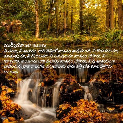 Picture 02 - యిర్మీయా 5:17 TELIRV - నీ పంట, నీ ఆహారం - Bible Verse Picture