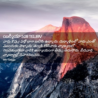 Picture 02 - యిర్మీయా 5:28 TELIRV - వారు కొవ్వు పట్టి - Bible Verse Picture