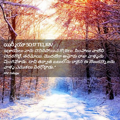 Picture 02 - యిర్మీయా 50:17 TELIRV - ఇశ్రాయేలు వారు - Bible Verse Picture
