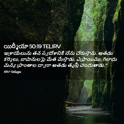 Picture 02 - యిర్మీయా 50:19 TELIRV - ఇశ్రాయేలును తన - Bible Verse Picture
