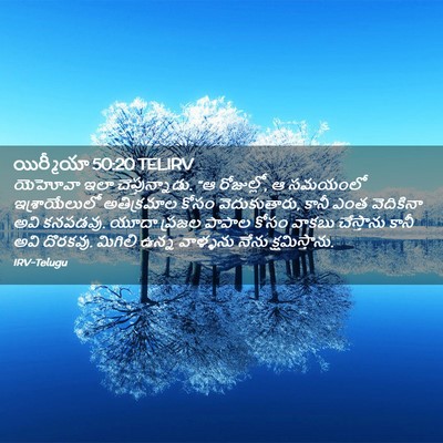 Picture 02 - యిర్మీయా 50:20 TELIRV - యెహోవా ఇలా - Bible Verse Picture
