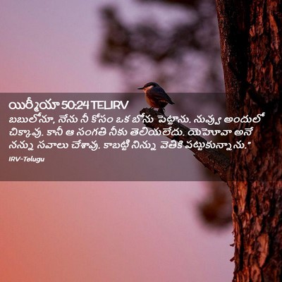 Picture 02 - యిర్మీయా 50:24 TELIRV - బబులోనూ, నేను నీ - Bible Verse Picture