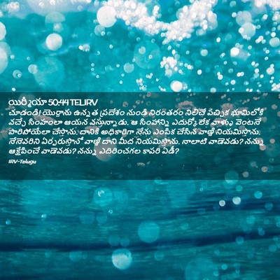 Picture 02 - యిర్మీయా 50:44 TELIRV - చూడండి! యొర్దాను - Bible Verse Picture