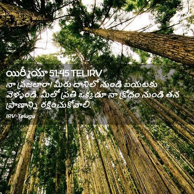 Picture 02 - యిర్మీయా 51:45 TELIRV - నా ప్రజలారా! మీరు - Bible Verse Picture