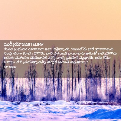 Picture 02 - యిర్మీయా 51:58 TELIRV - సేనల ప్రభువైన - Bible Verse Picture