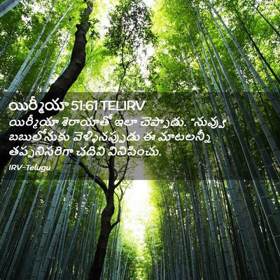 Picture 02 - యిర్మీయా 51:61 TELIRV - యిర్మీయా శెరాయాతో - Bible Verse Picture