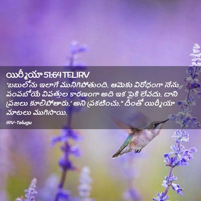 Picture 02 - యిర్మీయా 51:64 TELIRV - ‘బబులోను ఇలాగే - Bible Verse Picture