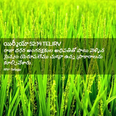 Picture 02 - యిర్మీయా 52:14 TELIRV - రాజు దగ్గర - Bible Verse Picture