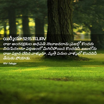 Picture 02 - యిర్మీయా 52:15 TELIRV - రాజు అంగరక్షకుల - Bible Verse Picture