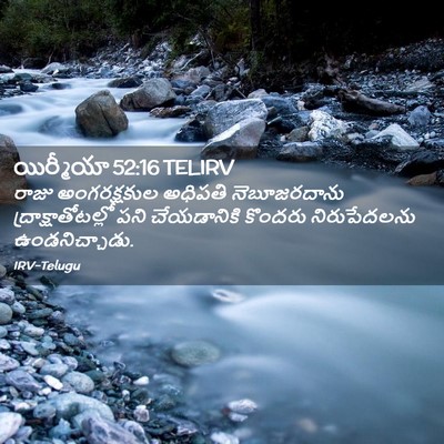 Picture 02 - యిర్మీయా 52:16 TELIRV - రాజు అంగరక్షకుల - Bible Verse Picture