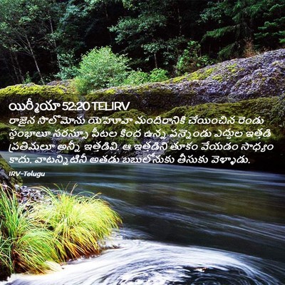 Picture 02 - యిర్మీయా 52:20 TELIRV - రాజైన సొలొమోను - Bible Verse Picture