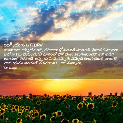 Picture 02 - యిర్మీయా 6:16 TELIRV - యెహోవా - Bible Verse Picture