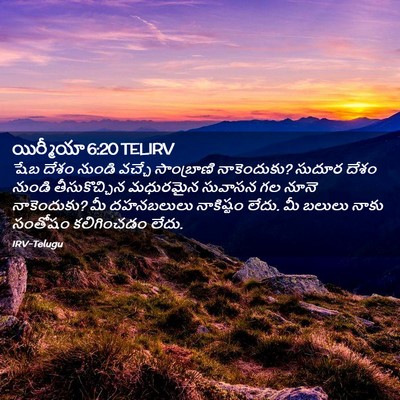 Picture 02 - యిర్మీయా 6:20 TELIRV - షేబ దేశం నుండి - Bible Verse Picture