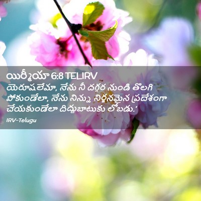 Picture 02 - యిర్మీయా 6:8 TELIRV - యెరూషలేమా, నేను నీ - Bible Verse Picture