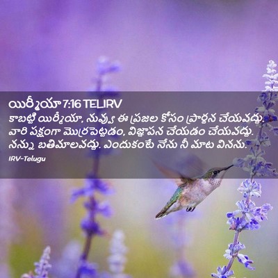 Picture 02 - యిర్మీయా 7:16 TELIRV - కాబట్టి యిర్మీయా, - Bible Verse Picture
