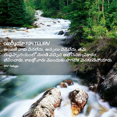 Picture 02 - యిర్మీయా 7:24 TELIRV - అయితే వారు - Bible Verse Picture