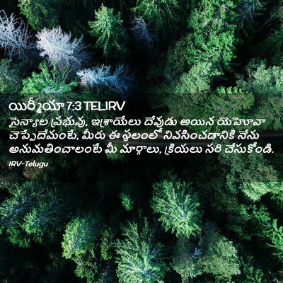 Picture 02 - యిర్మీయా 7:3 TELIRV - సైన్యాల ప్రభువు, - Bible Verse Picture