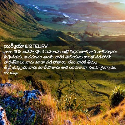Picture 02 - యిర్మీయా 8:12 TELIRV - వారు చేసే - Bible Verse Picture