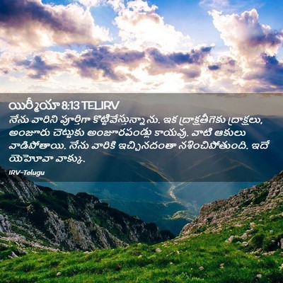 Picture 02 - యిర్మీయా 8:13 TELIRV - నేను వారిని - Bible Verse Picture