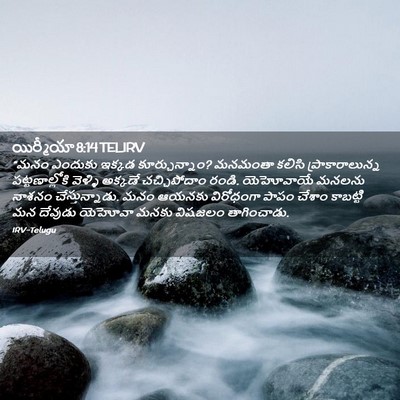 Picture 02 - యిర్మీయా 8:14 TELIRV - “మనం ఎందుకు ఇక్కడ - Bible Verse Picture