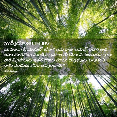 Picture 02 - యిర్మీయా 8:19 TELIRV - యెహోవా సీయోనులో - Bible Verse Picture