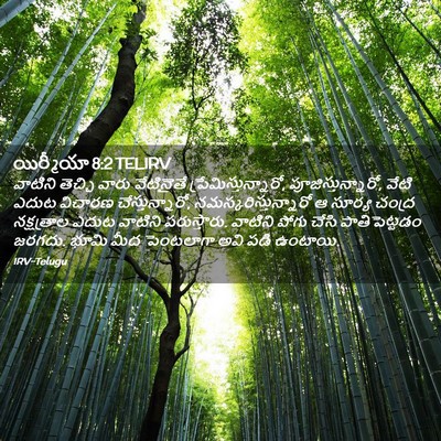 Picture 02 - యిర్మీయా 8:2 TELIRV - వాటిని తెచ్చి - Bible Verse Picture