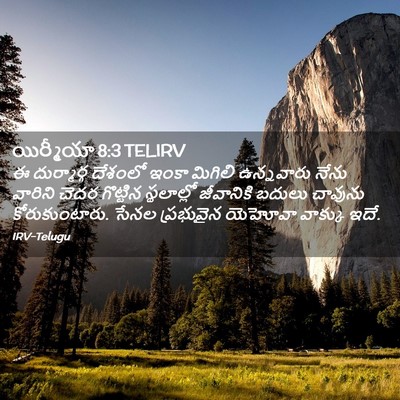 Picture 02 - యిర్మీయా 8:3 TELIRV - ఈ దుర్మార్గ - Bible Verse Picture