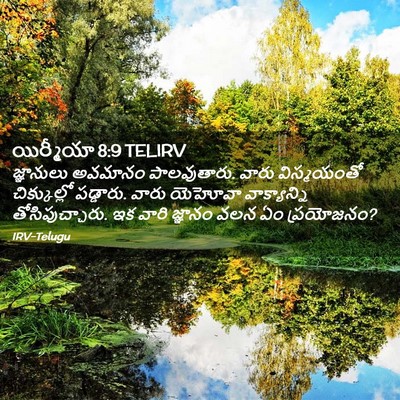 Picture 02 - యిర్మీయా 8:9 TELIRV - జ్ఞానులు అవమానం - Bible Verse Picture