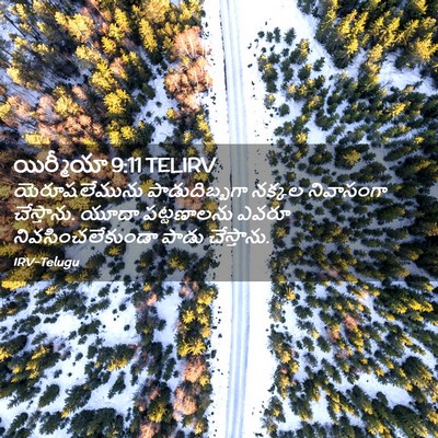 Picture 02 - యిర్మీయా 9:11 TELIRV - యెరూషలేమును - Bible Verse Picture