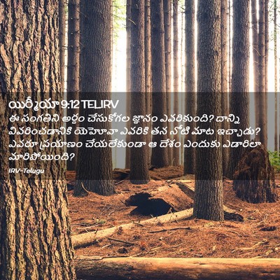 Picture 02 - యిర్మీయా 9:12 TELIRV - ఈ సంగతిని అర్థం - Bible Verse Picture