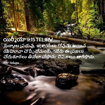 Picture 02 - యిర్మీయా 9:15 TELIRV - సైన్యాల ప్రభువు, - Bible Verse Picture