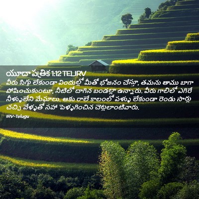 Picture 02 - యూదా పత్రిక 1:12 TELIRV - వీరు సిగ్గు - Bible Verse Picture