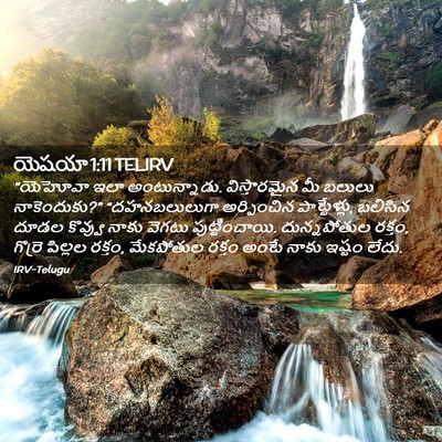 Picture 02 - యెషయా 1:11 TELIRV - “యెహోవా ఇలా - Bible Verse Picture
