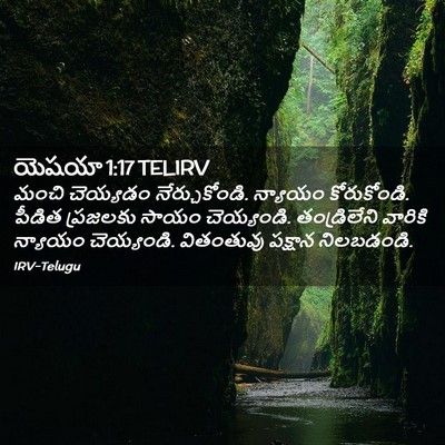 Picture 02 - యెషయా 1:17 TELIRV - మంచి చెయ్యడం - Bible Verse Picture