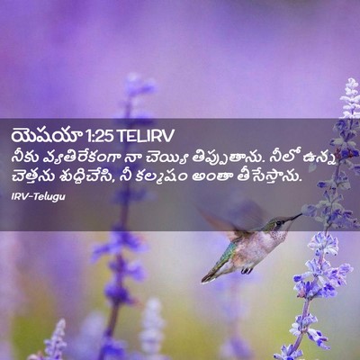 Picture 02 - యెషయా 1:25 TELIRV - నీకు వ్యతిరేకంగా - Bible Verse Picture