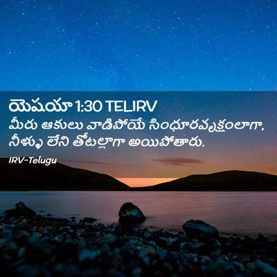 Picture 02 - యెషయా 1:30 TELIRV - మీరు ఆకులు - Bible Verse Picture