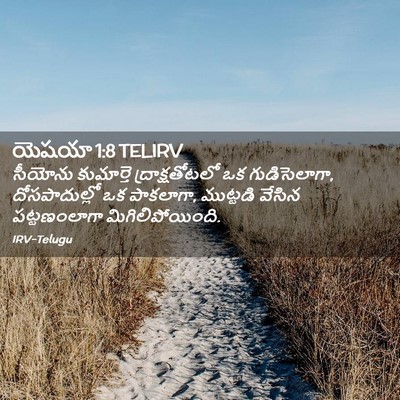 Picture 02 - యెషయా 1:8 TELIRV - సీయోను కుమార్తె - Bible Verse Picture