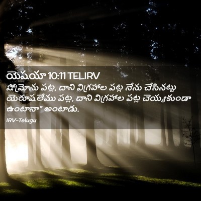 Picture 02 - యెషయా 10:11 TELIRV - షోమ్రోను పట్ల, - Bible Verse Picture